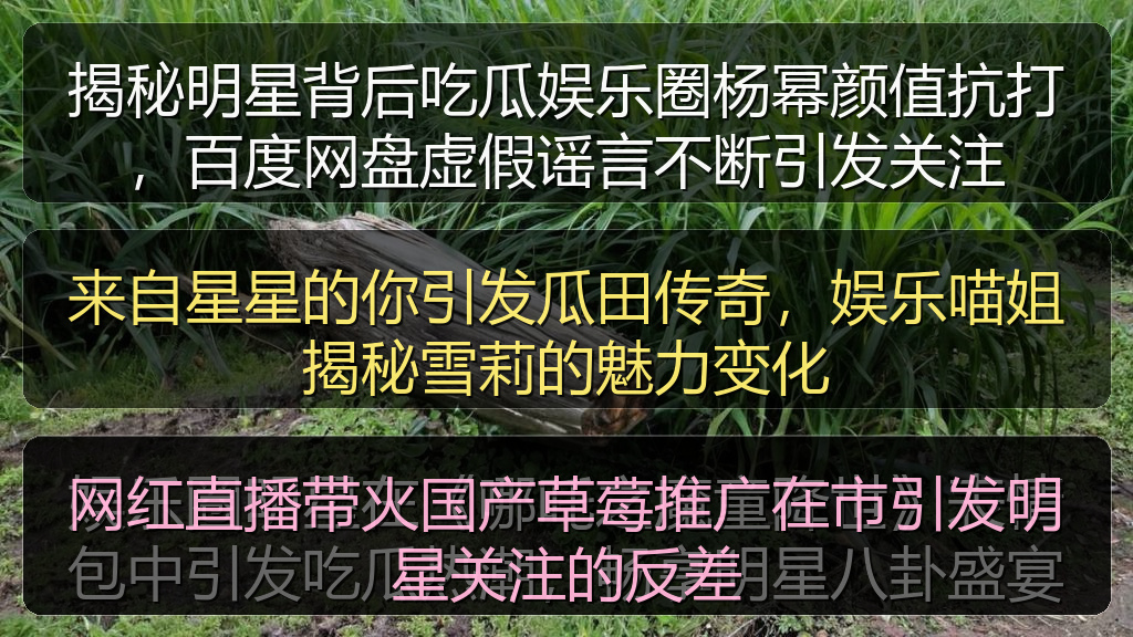 网红直播带火国产草莓推广在市引发明星关注的反差