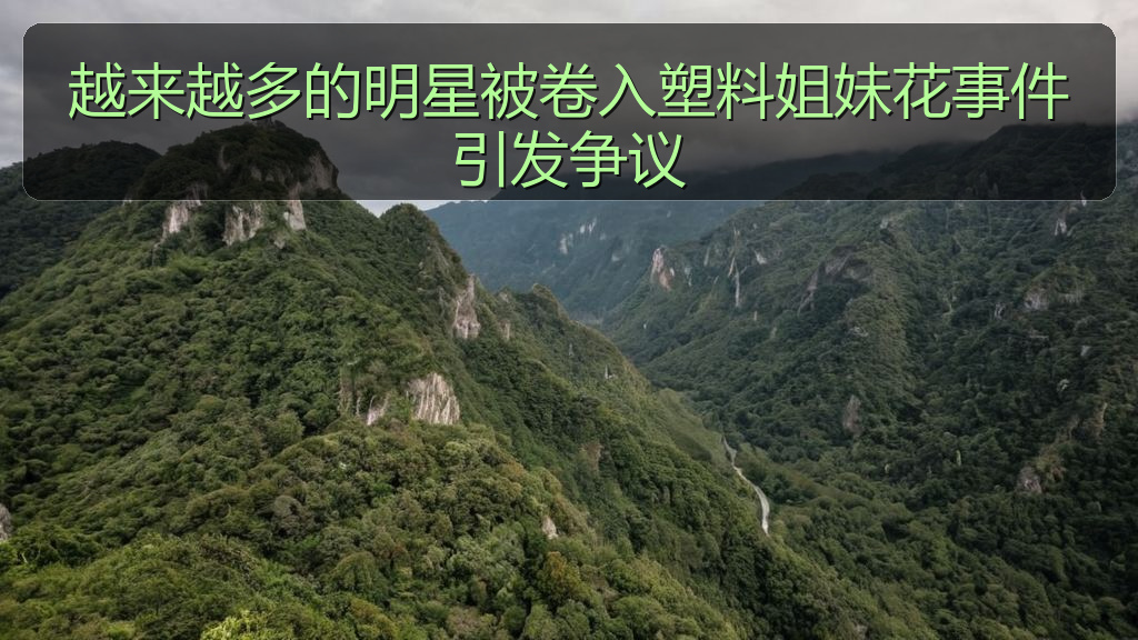 越来越多的明星被卷入塑料姐妹花事件引发争议