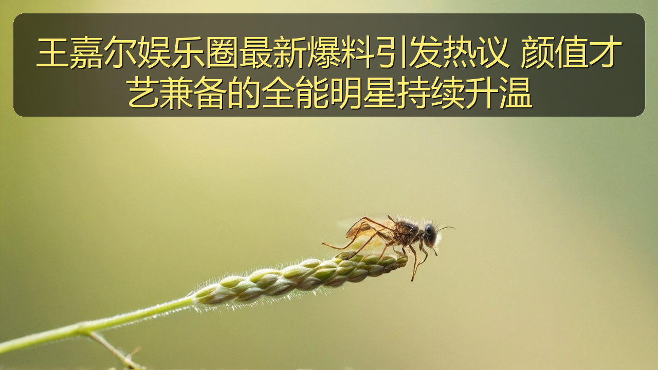 王嘉尔娱乐圈最新爆料引发热议 颜值才艺兼备的全能明星持续升温